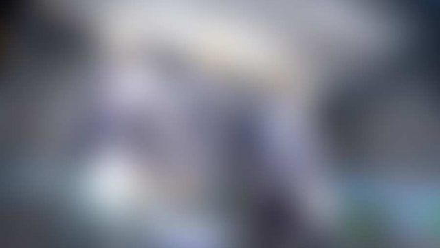 Neueste WordPress Nachrichten